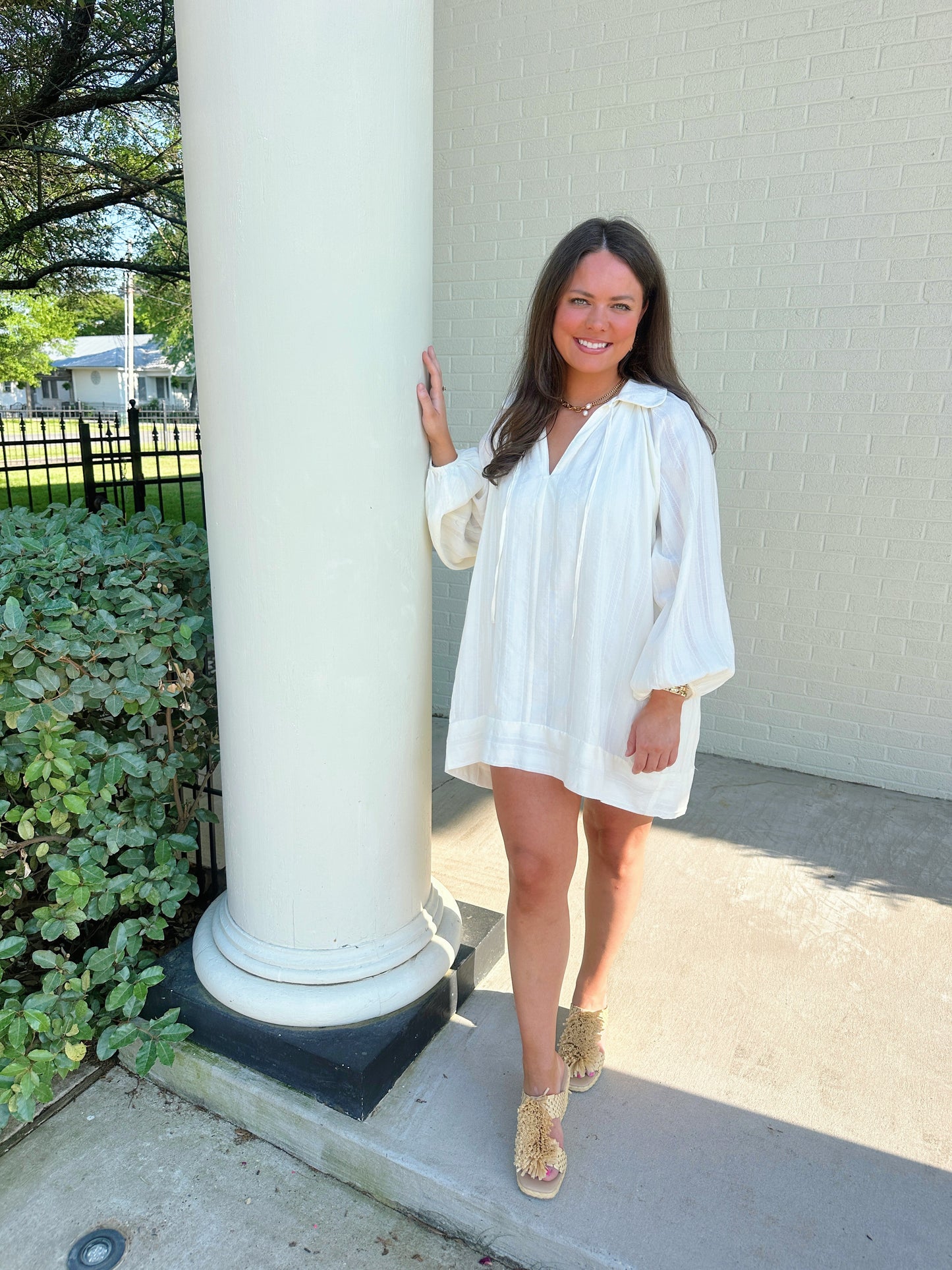 The Elise Mini Dress